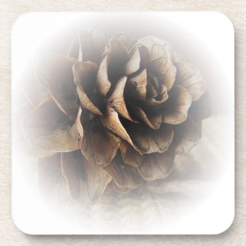 Larch Cone Beverage Coaster