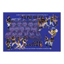 Large 2006 Saline Buzz Poster posters