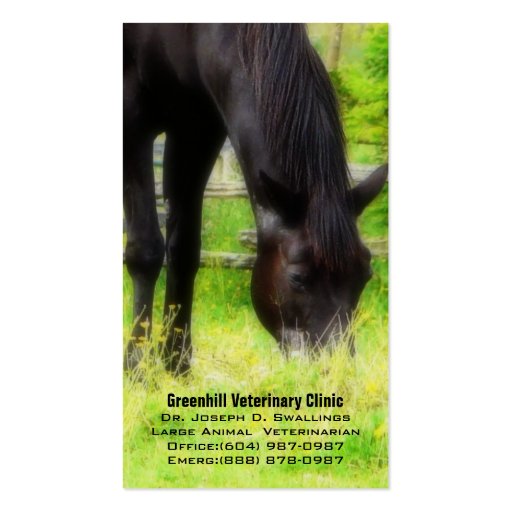 Large Animal (Horse) Veterinarian Business Clinic Business Card Template