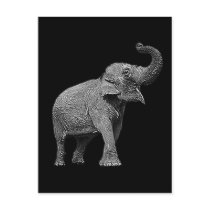 LARGE ASIAN ELEPHANT - INDIAN ELEPHANT POST CARD