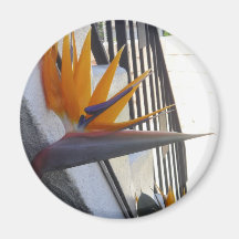 Large Bird of Paradise Magnet