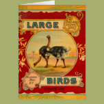 Large Birds Greeting Card