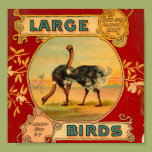 Large Birds Posters