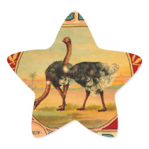 Large Birds Star Stickers