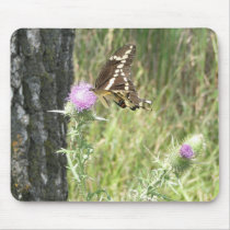 Large Butterfly On Thistle Flower Mousepad