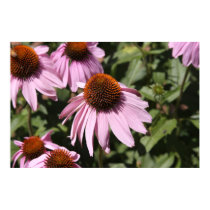 Large canvas print of smiling flowers by joacreations Large canvas print of smiling flowers