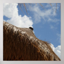 Large Canvas straw umbrella posters