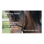 Large Draft Horse Business Cards