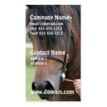 Large Draft Horse Business Cards