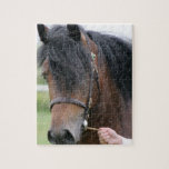 Large Draft Horse Puzzle