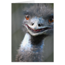 Large Emu  Greeting Card
