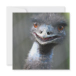 Large Emu Invitations