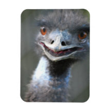 Large Emu Premium Magnet