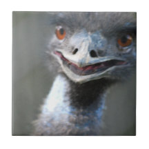 Large Emu Tile