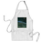Large fish at Sea Life Park, Oahu, Hawaii, U.S.A. Aprons