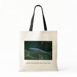 Large fish at Sea Life Park, Oahu, Hawaii, U.S.A. Canvas Bags