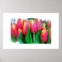 Large Floral Still Life on Canvas posters