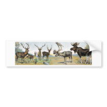 Large Game & Antlers Bumper Sticker