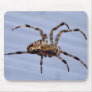 Large garden spider building the web mousepad