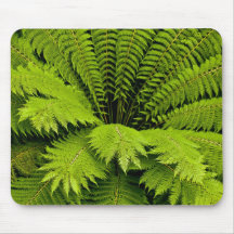 Large Green Fern Mouse Pad