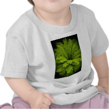 Large Green Fern T Shirt