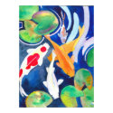 large Koi pond posters