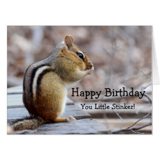 Chipmunk Birthday Cards 