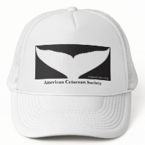 Large Logo Hat