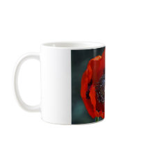 Large Mohnblüte