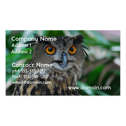 Large Owl Business Cards (front side)