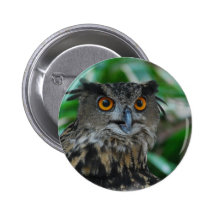 Large Owl Button