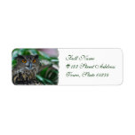 Large Owl Mailing Labels