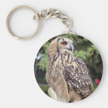 Large Owl on Fence Keychain