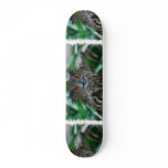 Large Owl Skateboard