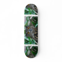 Large Owl Skateboard