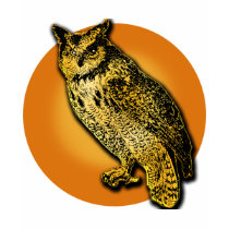 Large Owl with Orange Moon Tshirts, Mugs