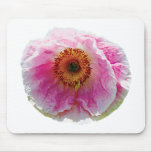 Large Pink Poppy Mouse Pad