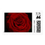 Large Red Rose Elegance