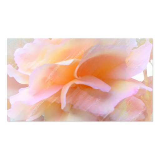 Large Rose Pink & Orange Petals Profile Card Business Card (back side)