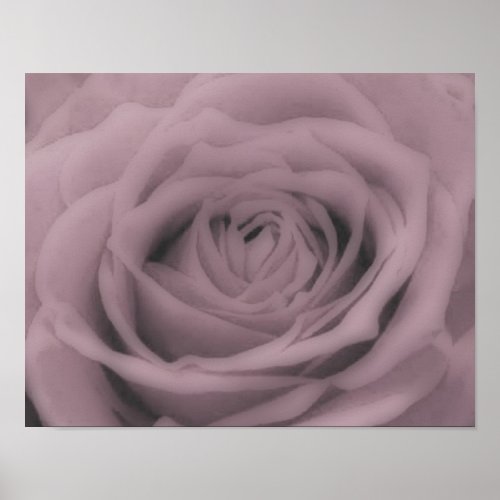 Large-Rose print