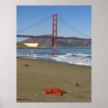 Large San Francisco Golden Gate Bridge / Star Fish Poster
