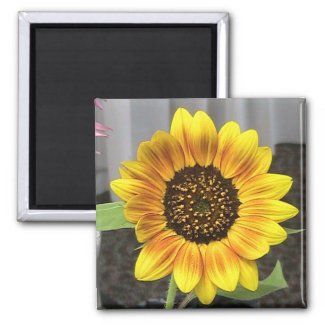 Large Sunflower design - round or square