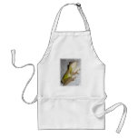 Large tree frog clinging to stucco wall photo aprons