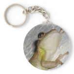 Large tree frog clinging to stucco wall photo key chain