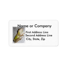 Large tree frog clinging to stucco wall photo personalized address label