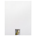 Large tree frog clinging to stucco wall photo personalized letterhead
