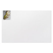 Large tree frog clinging to stucco wall photo personalized stationery
