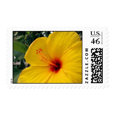Large Yellow Hibiscus Postage Stamps