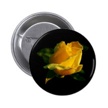 Large Yellow Rose Pinback Buttons