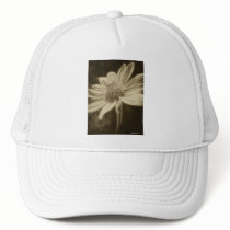 Large Yellow Wildflowers 2 Antiqued hats
